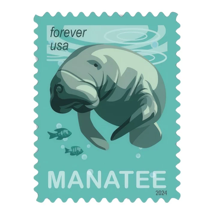 Save the Manatees 2024